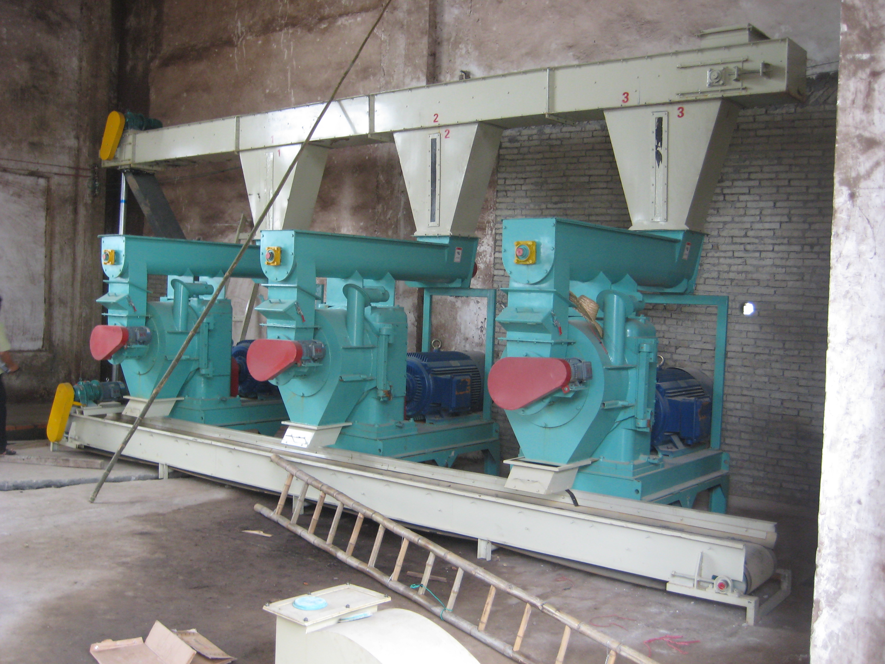 �V������ĳ�͑�